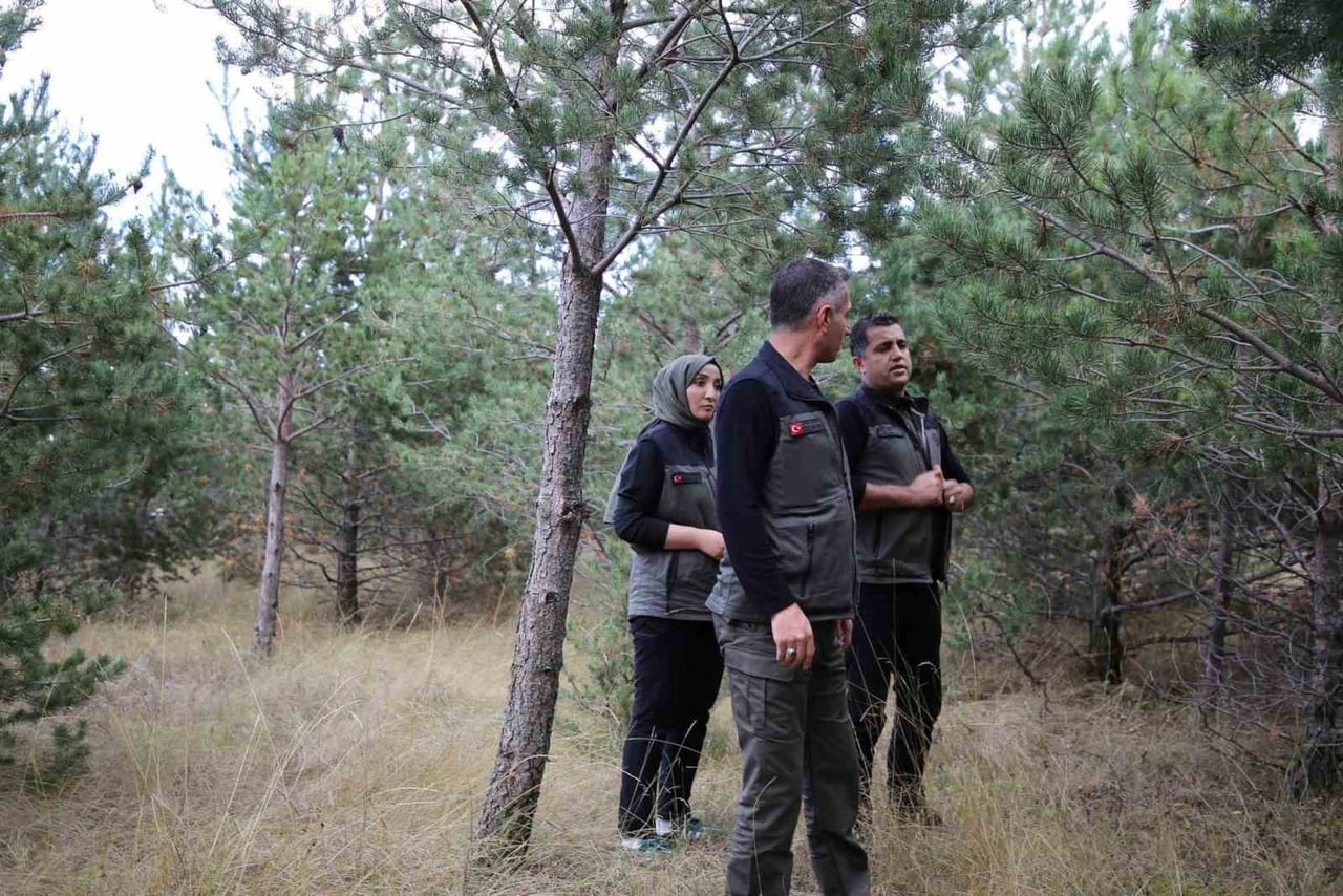 KARS’A YENİ YEŞİL YAŞAM ALANI GELİYOR: KENT ORMANI İÇİN DÜĞMEYE BASILDI(KARS-İHA)