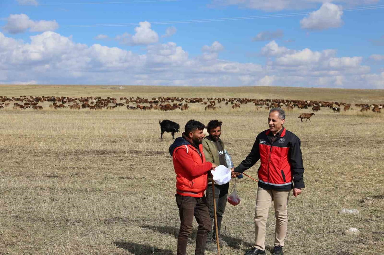 KARS’TA ÇOBANLAR SÜRÜLERİNİN BAŞINDA ALIN TERİ DÖKÜYOR(KARS-İHA)