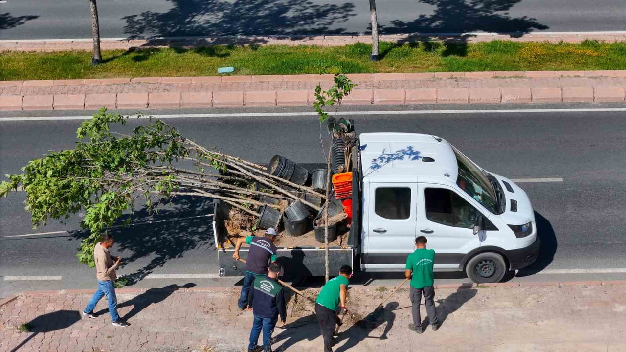 KAYSERİ BÜYÜKŞEHİR BELEDİYESİ; KENT GENELİNDE KURUYAN, HASTALANAN VE ÖMRÜNÜ TAMAMLAYAN AĞAÇLARIN...