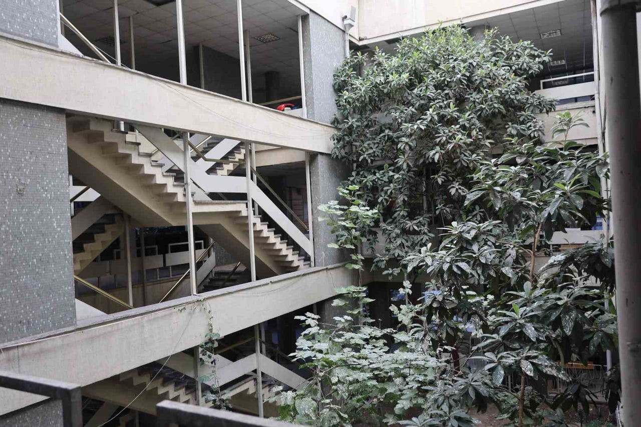 KONYA’DA 60 YIL ÖNCE AÇILAN İŞ HANINDA YETİŞEN AĞAÇ BELİRLİ ZAMANLARDA MEYVE VERİRKEN, HANA...