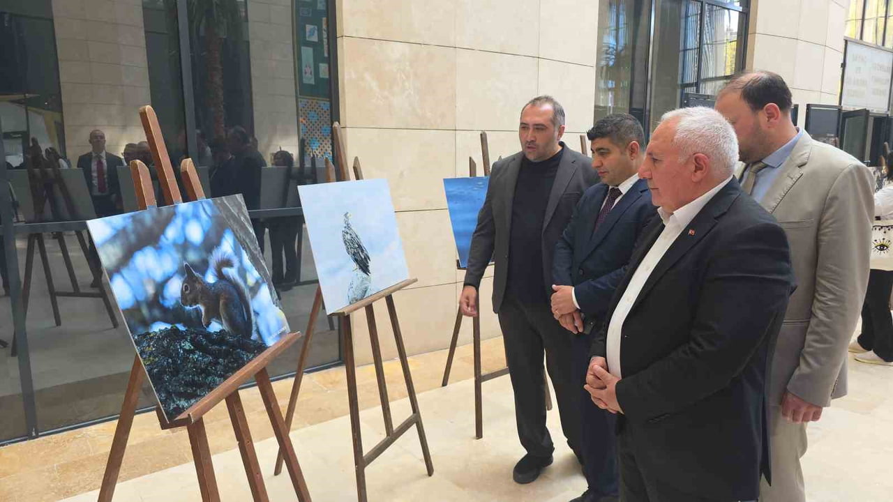 KÜTAHYA'NIN YABAN HAYATI FOTOĞRAFLARLA GÖZLER ÖNÜNE SERİLİYOR