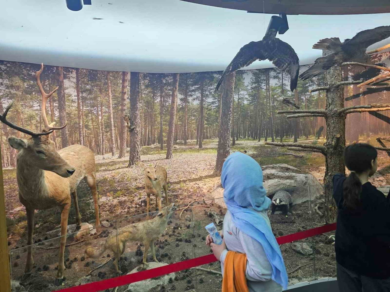 KÜTAHYA ÇAMLICA TABİAT PARKI’NDA ÖĞRENCİLERE DOĞA EĞİTİMİ