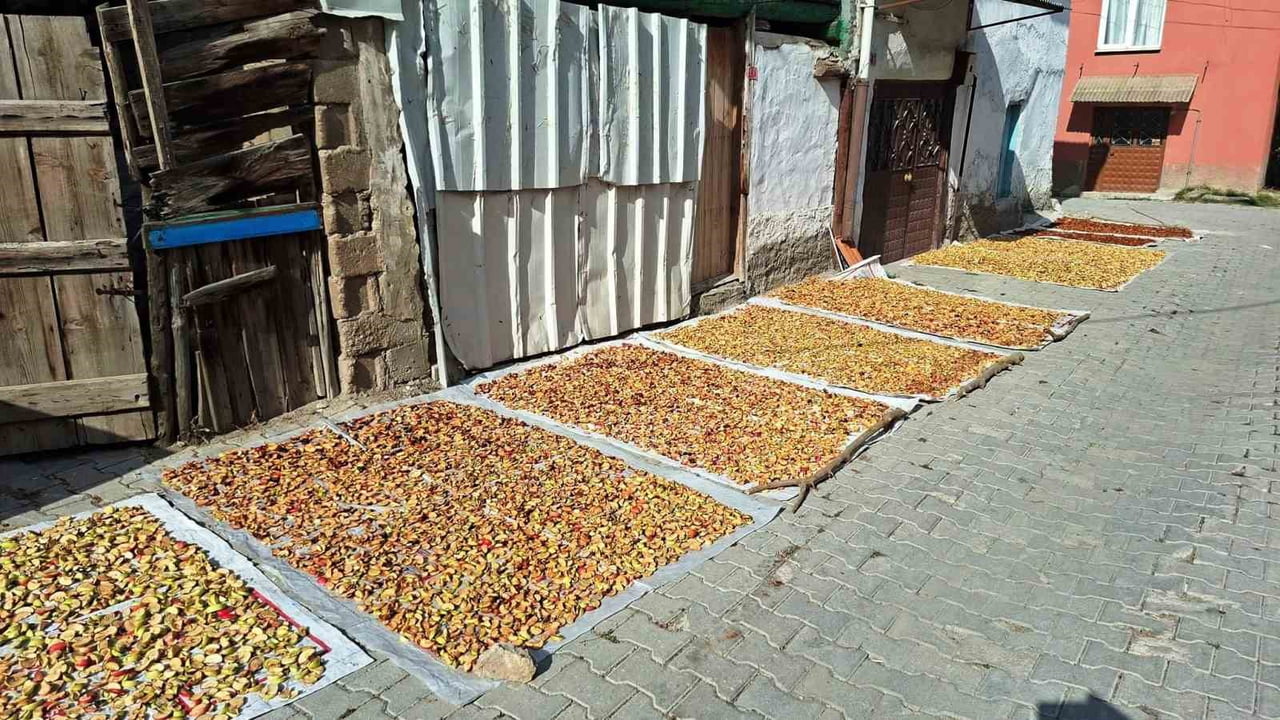 KÜTAHYA’NIN HİSARCIK İLÇESİNDE GEÇEN YIL 70 LİRAYA KADAR YÜKSELEN ELMA KURUSUNUN KİLOGRAM FİYATI...