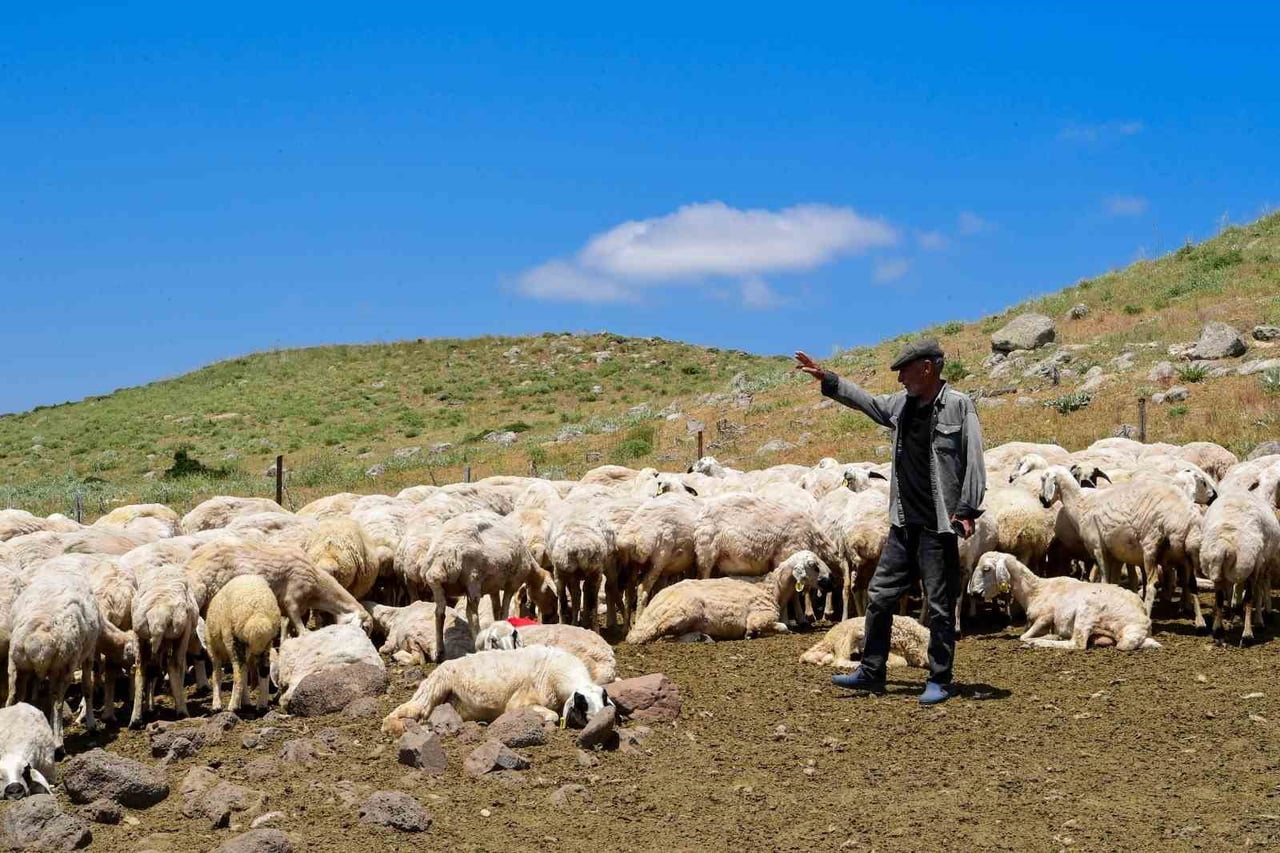 MALATYA BÜYÜKŞEHİR BELEDİYESİ 35 YILLIK SORUNA NEŞTER VURDU