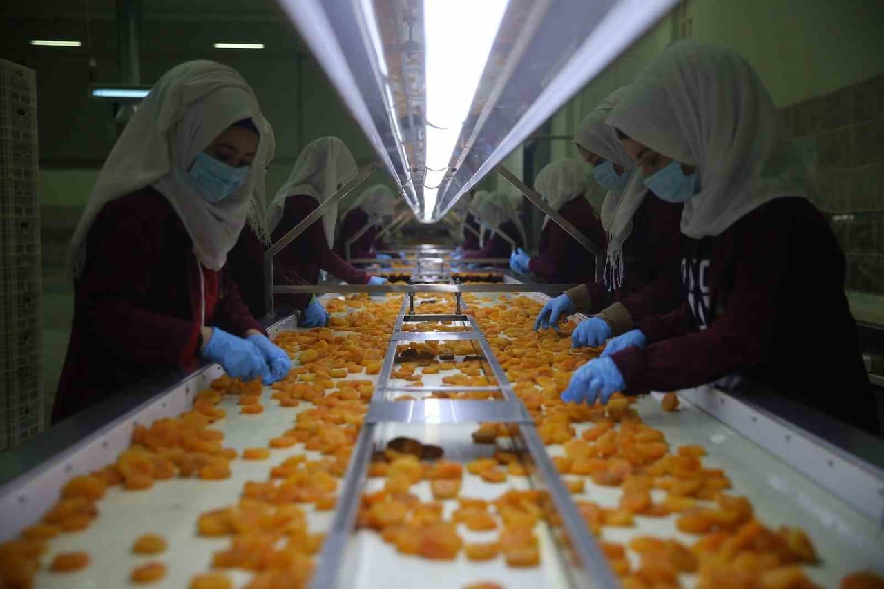 MALATYA TİCARET BORSASI (MTB) BAŞKANI RAMAZAN ÖZCAN, 2026 KURU KAYISI SEZONUNDA AĞUSTOS VE EYLÜL...