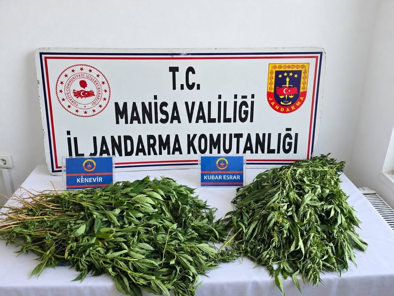 MANİSA’DA 4 İLÇEDE DÜZENLENEN UYUŞTURUCU OPERASYONLARINDA 156 KÖK KENEVİR, 10 BİN 865 ADET...