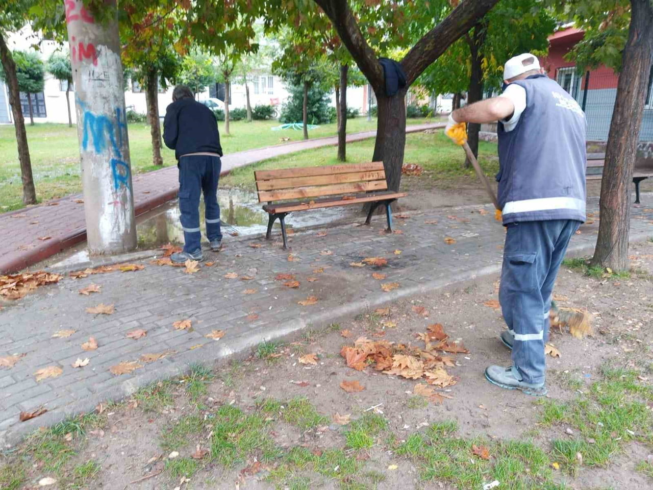 MANİSA’DA BİRKAÇ GÜNDÜR ETKİLİ OLAN SAĞANAK YAĞIŞLAR NEDENİYLE AĞAÇLARDAN DÜŞEN YAPRAKLAR...