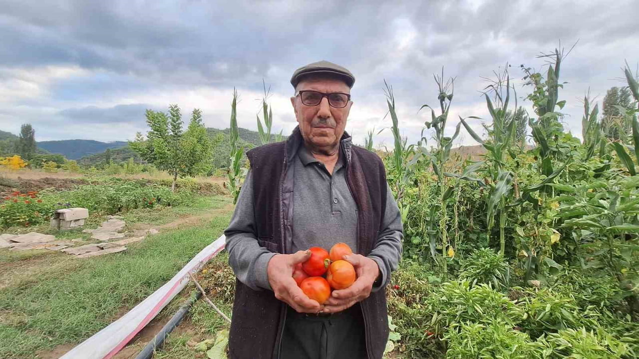 MANİSA’NIN SARIGÖL İLÇESİNDE YAŞAYAN ÇİFTÇİ İBRAHİM İÇEN, DEDELERİNDEN KALAN ATA TOHUMU...