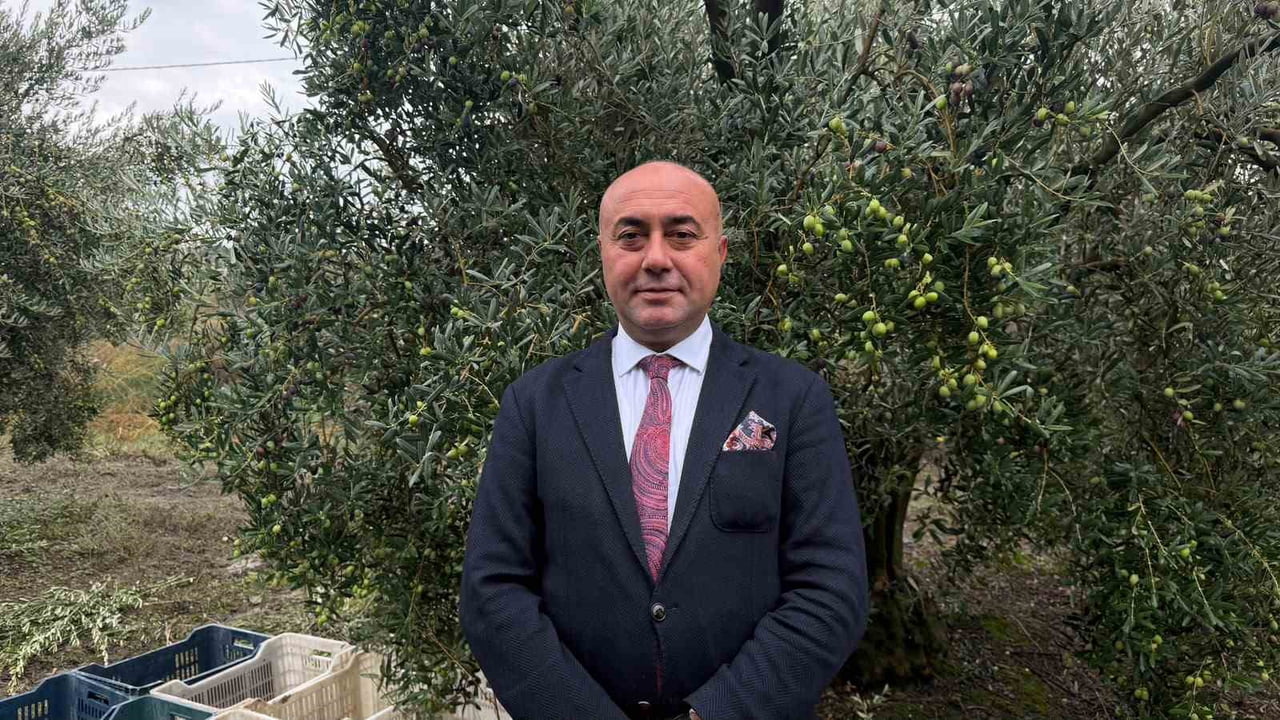 MARMARABİRLİK YÖNETİM KURULU BAŞKANI ALİ YILDIZ, TÜRKİYE GENELİNDE SOFRALIK VE YAĞLIK ZEYTİN...