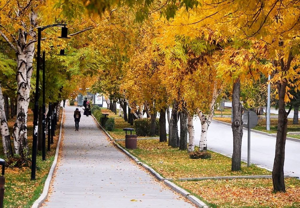 METEOROLOJİ BÖLGEL MÜDÜRLÜĞÜ, DOĞU ANADOLU BÖLGESİ GENELİNDE HAVANIN PARÇALI VE ÇOK BULUTLU...