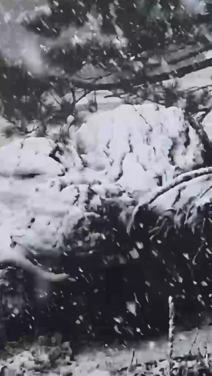 MUĞLA’NIN KAVAKLIDERE İLÇESİNDE YÜKSEK KESİMLERDE SEZONUN İLK KAR YAĞIŞI GÖRÜLDÜ.