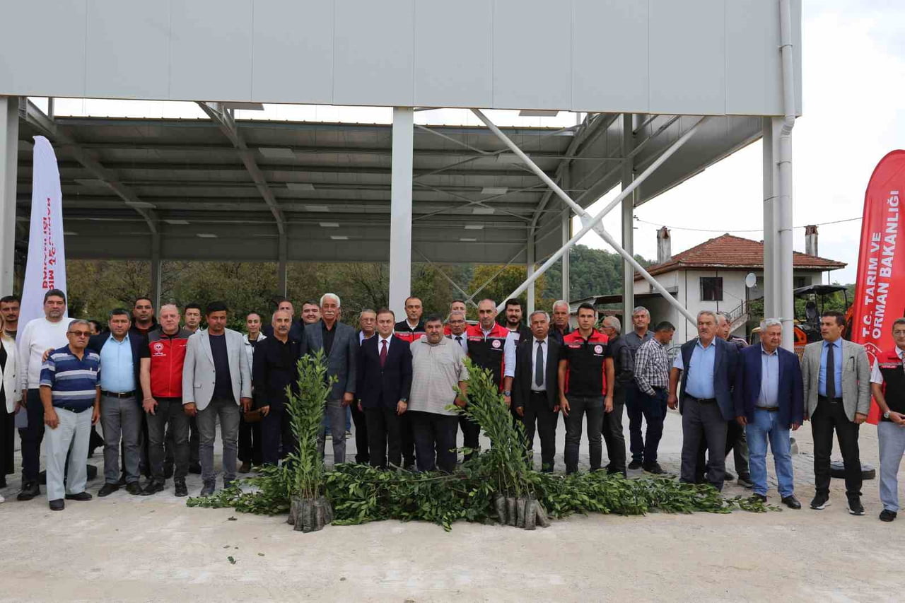 MUĞLA’NIN ULA İLÇESİNE BAĞLI YEŞİLOVA MAHALLESİ’NDE DEFNE HASADI VE FİDAN DAĞITIMI, AKYAKA...
