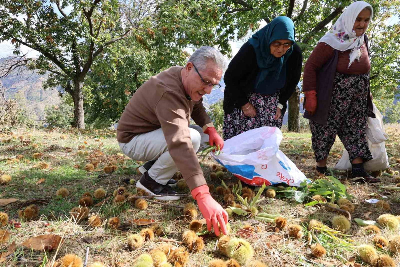 NAZİLLİ BELEDİYE BAŞKANI DR. ERTUĞRUL TETİK, ESENTEPE MAHALLESİ’NDE KESTANE ÜRETİCİLERİYLE BİR...