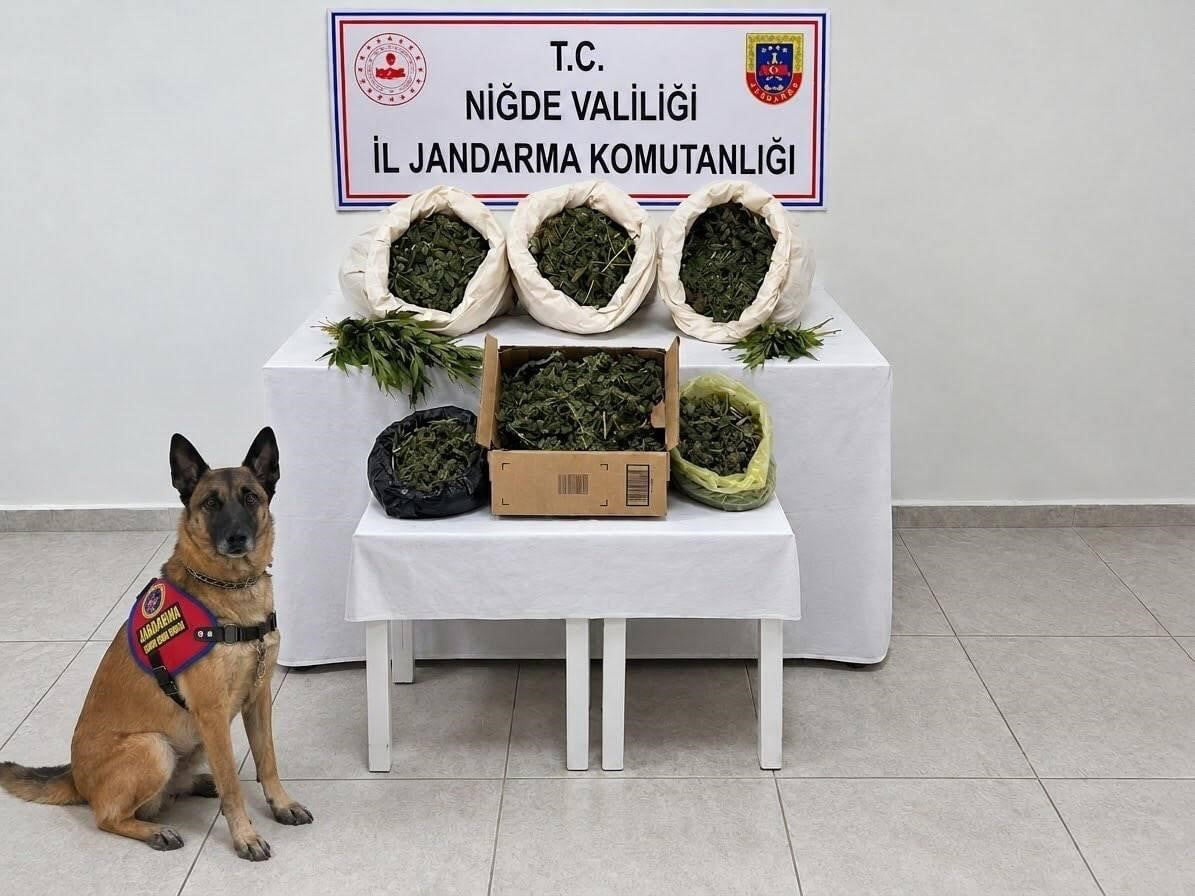 NİĞDE’DE JANDARMADAN UYUŞTURUCU OPERASYONU