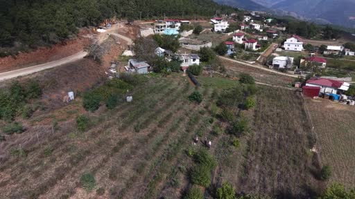 Osmaniye'de oğlunun tavsiyesiyle aronya yetiştirdi, reçelini 400 liradan satıyor
