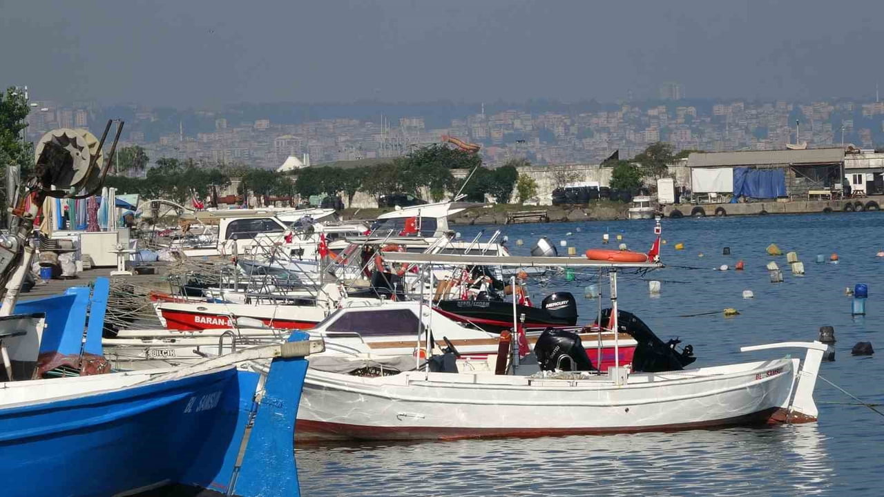 PALAMUT BOLLUĞU BİR YANDAN VATANDAŞIN YÜZÜNÜ GÜLDÜRÜRKEN BİR YANDAN DA BALIKÇILARDA ENDİŞE...
