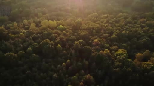 RTÜK Başkanı Daniş'ten COP31 kamu spotu çağrısı
