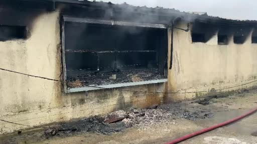 Sakarya'da tavuk çiftliğinde çıkan yangın söndürüldü