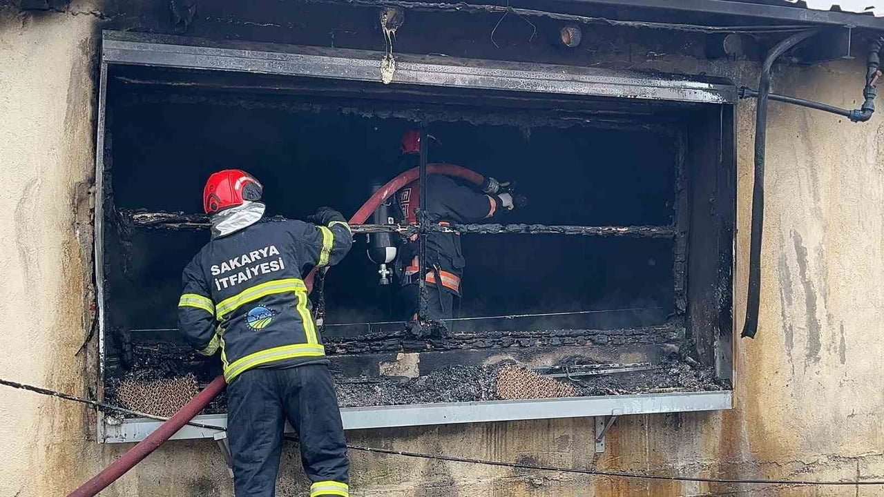 SAKARYA'NIN PAMUKOVA İLÇESİNDE BİR TAVUK ÇİFTLİĞİNDE ÇIKAN YANGIN, İTFAİYE EKİPLERİNİN HIZLI...