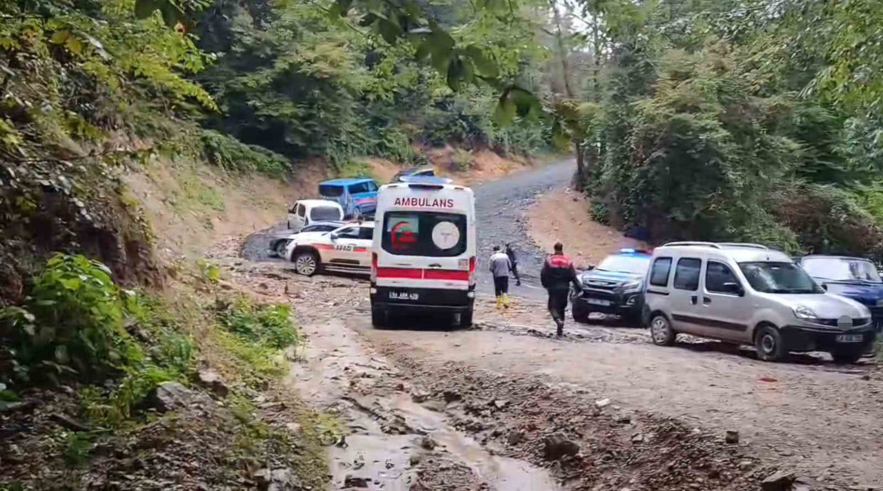 SAKARYA’NIN SAPANCA İLÇESİNDE İKİ KARDEŞİYLE BİRLİKTE KESTANE TOPLAMAK İÇİN ORMANLIK ALANA GİDEN...
