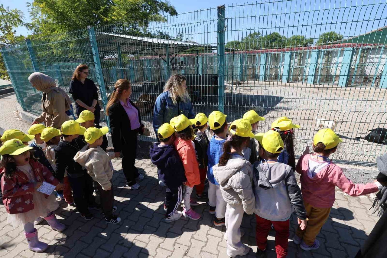 ŞEHZADELER BELEDİYESİ ÇOCUK EVLERİNDE EĞİTİM GÖREN 70 ÇOCUK, 4 EKİM HAYVANLARI KORUMA GÜNÜ...
