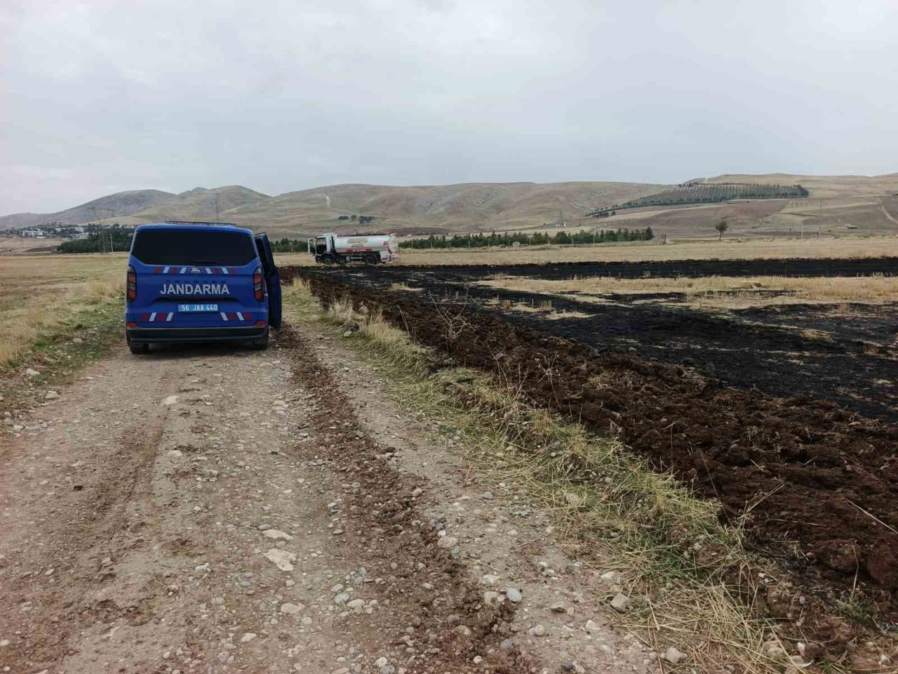 SİİRT’İN KURTALAN İLÇESİNDE EKİM ÖNCESİ TARLASINDAKİ ANIZI YAKAN ÇİFTÇİYE JANDARMA EKİPLERİ...