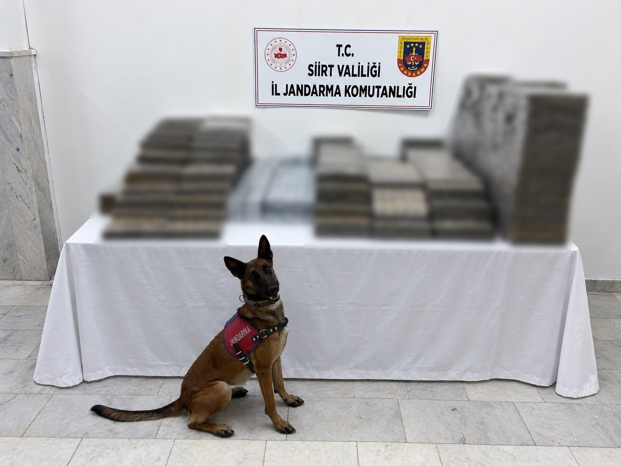 SİİRT’TE KÖMÜR ÇUVALLARININ ARASINA GİZLENMİŞ 10 BİN 250 PAKET KAÇAK SİGARA ELE...