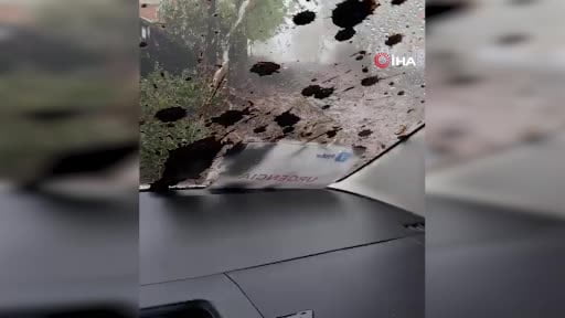 Şili’de şiddetli yağışlar sonucu aracıyla sele kapılan sürücü o anlar anbean kayıt altına...