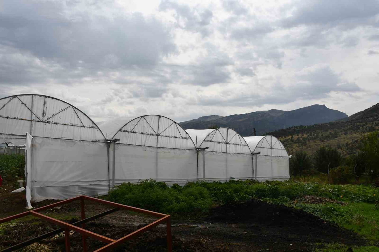 ŞIRNAK'IN ULUDERE İLÇESİNE BAĞLI ŞENOBA BELDESİNDE AİLELERİN DEVLETTEN ALDIKLARI YÜZDE 50 İLE...