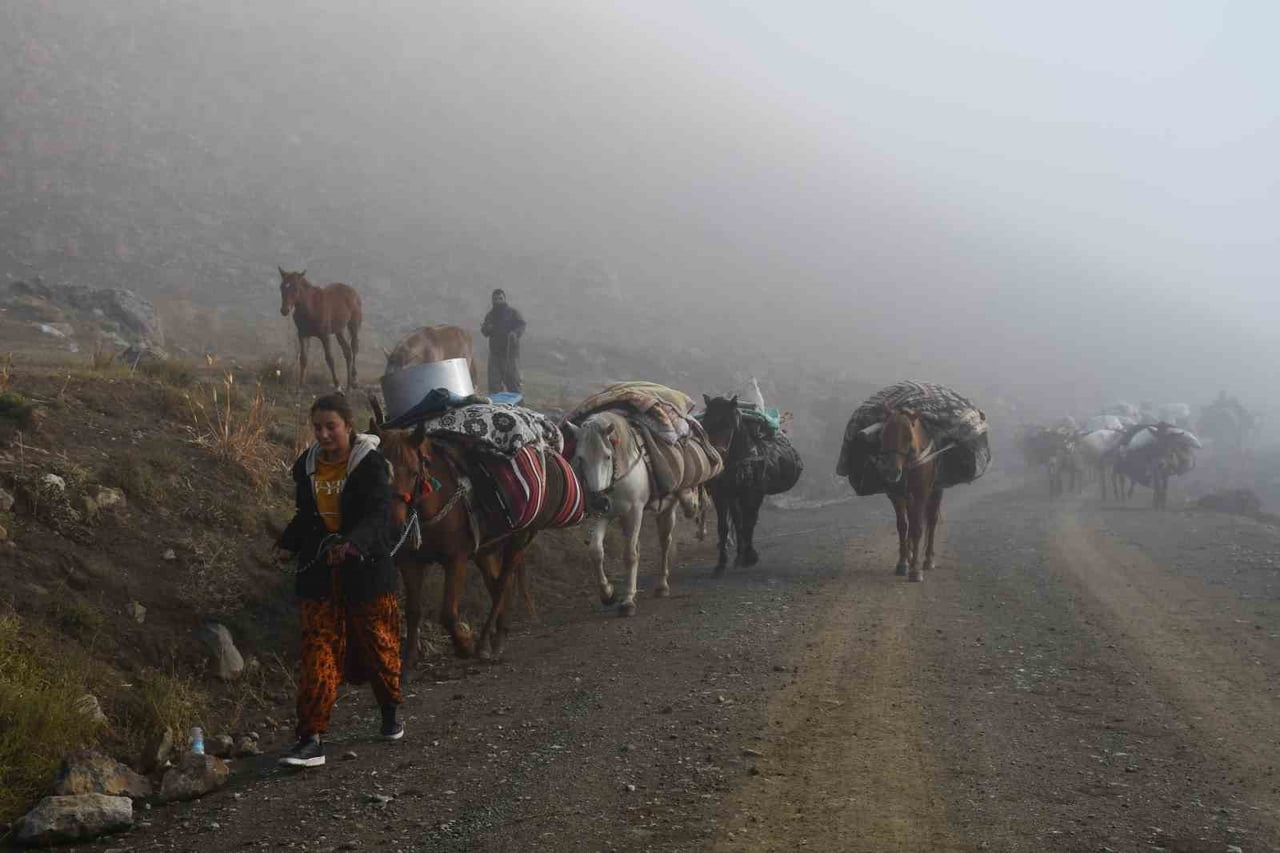ŞIRNAK’TA YAYLADA 5 AY KALAN GÖÇERLER HAVALARIN SOĞUMASIYLA YAYLADAN İNDİ. SON GÖÇER SÜRÜSÜ SİS...