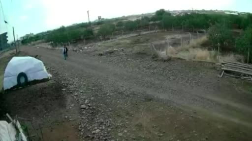 Siverek’te kangal köpeğinin çalınma anı kamerada