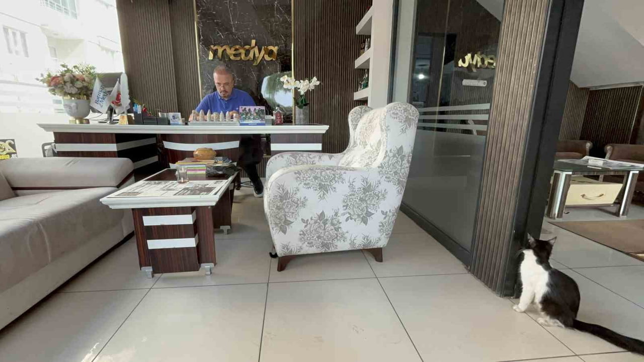 SOĞUK HAVALARIN ETKİSİNİ GÖSTERMEYE BAŞLADIĞI BATMAN’DA BİR MATBAA İŞLETMESİ, SOKAK KEDİLERİNE...