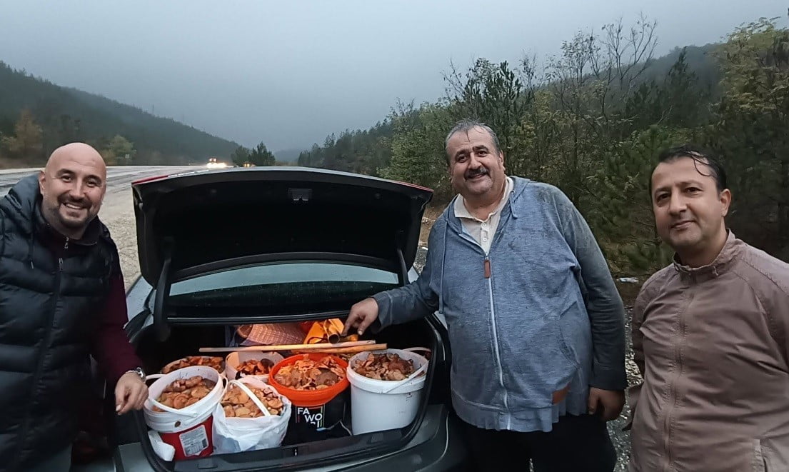 SONBAHAR YAĞIŞLARININ ARDINDAN ORHANELİ DAĞLARINDAKİ ORMANLIK ALANLARDA ORTAYA ÇIKAN MELKİ...