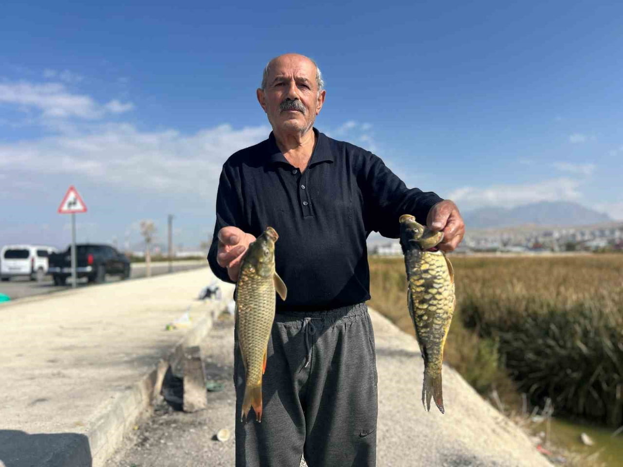 TEKİN MERCANOĞLU