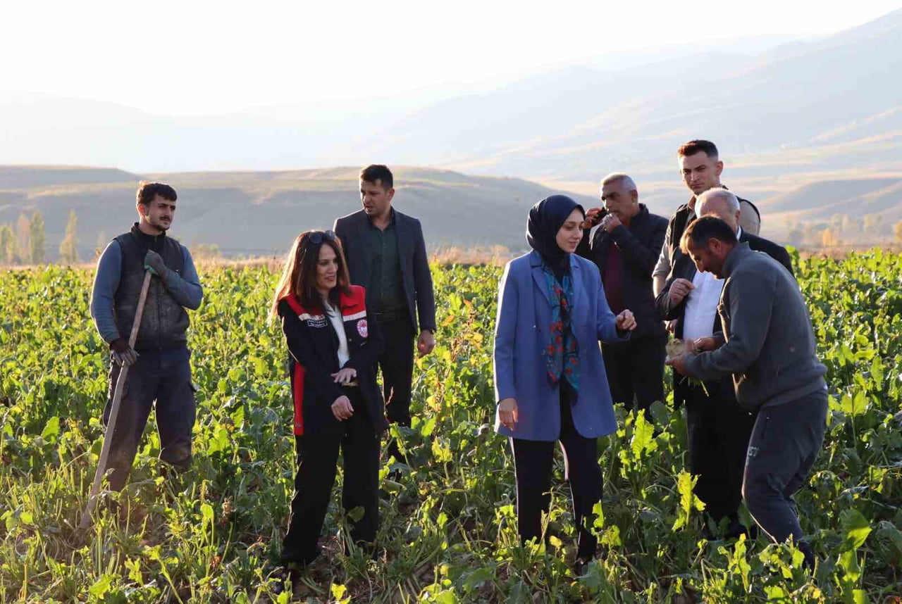 TERCAN KAYMAKAMI NESLİHAN KISA DUMAN, İLÇEDE FAALİYET GÖSTEREN ÇİFTÇİLERİ ZİYARET ETTİ