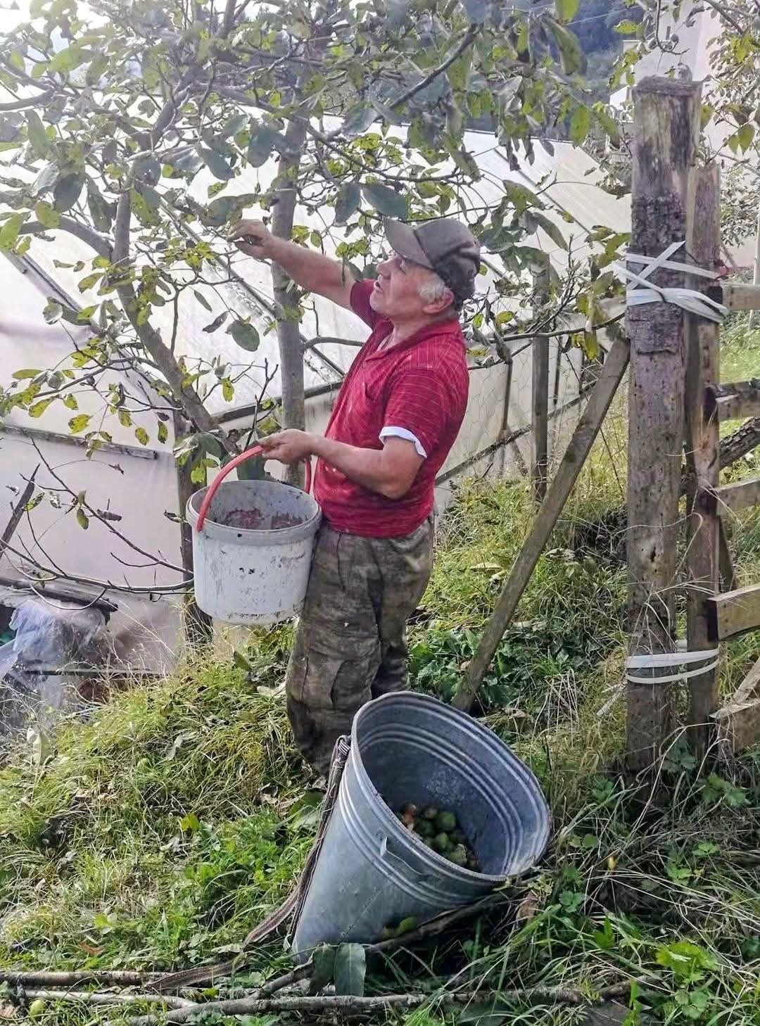 TRABZON'UN ŞALPAZARI İLÇESİNE BAĞLI AĞASAR YÖRESİNDE EMEKLİ BİR ORMAN MÜHENDİSİ OLAN MUSA AKKAYA...