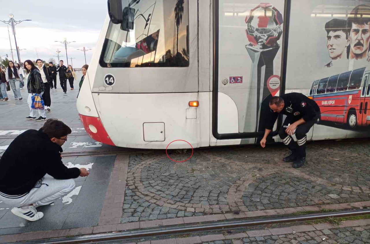 TRAMVAYIN ALTINDA KALAN YAVRU KEDİ SAĞ ÇIKTI.