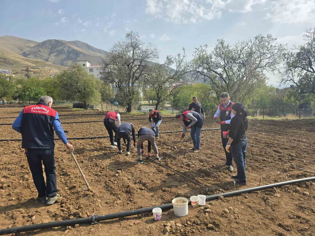 TUNCELİ’DE YALNIZ YAŞADIĞI İÇİN SARIMSAK EKİMİNİ YAPAMAYAN 70 YAŞINDAKİ ÜRETİCİ ŞEHRİBAN ÖZ’E...
