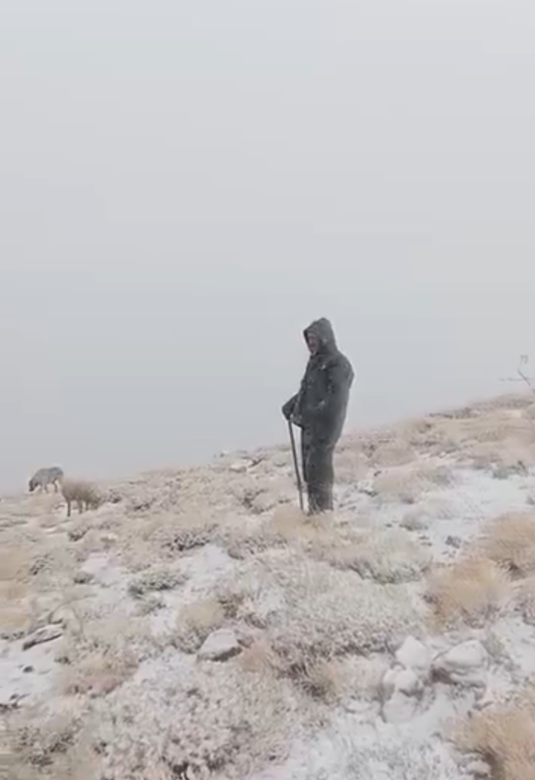 TUNCELİ’NİN OVACIK İLÇESİNİN YÜKSEK KESİMLERİNDE KAR YAĞIŞI ETKİLİ OLDU. YALMANLAR YAYLASI’NDA BİR...