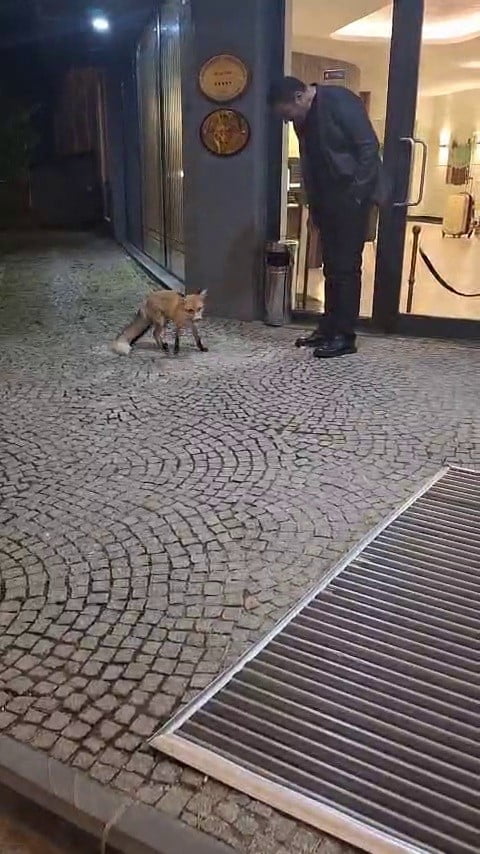 TÜRKİYE’NİN ÖNDE GELEN KIŞ TURİZM MERKEZLERİNDEN PALANDÖKEN’DE BULUNAN PALAN OTEL GENEL MÜDÜRÜ ALİ...