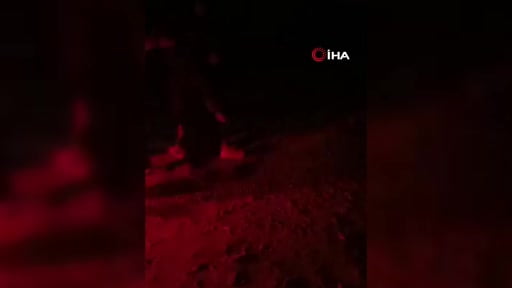 Ürdün Kraliyet Hava Kuvvetleri’ne ait savaş uçaklarının Suriye’nin güneydoğusundaki bazı noktalara...
