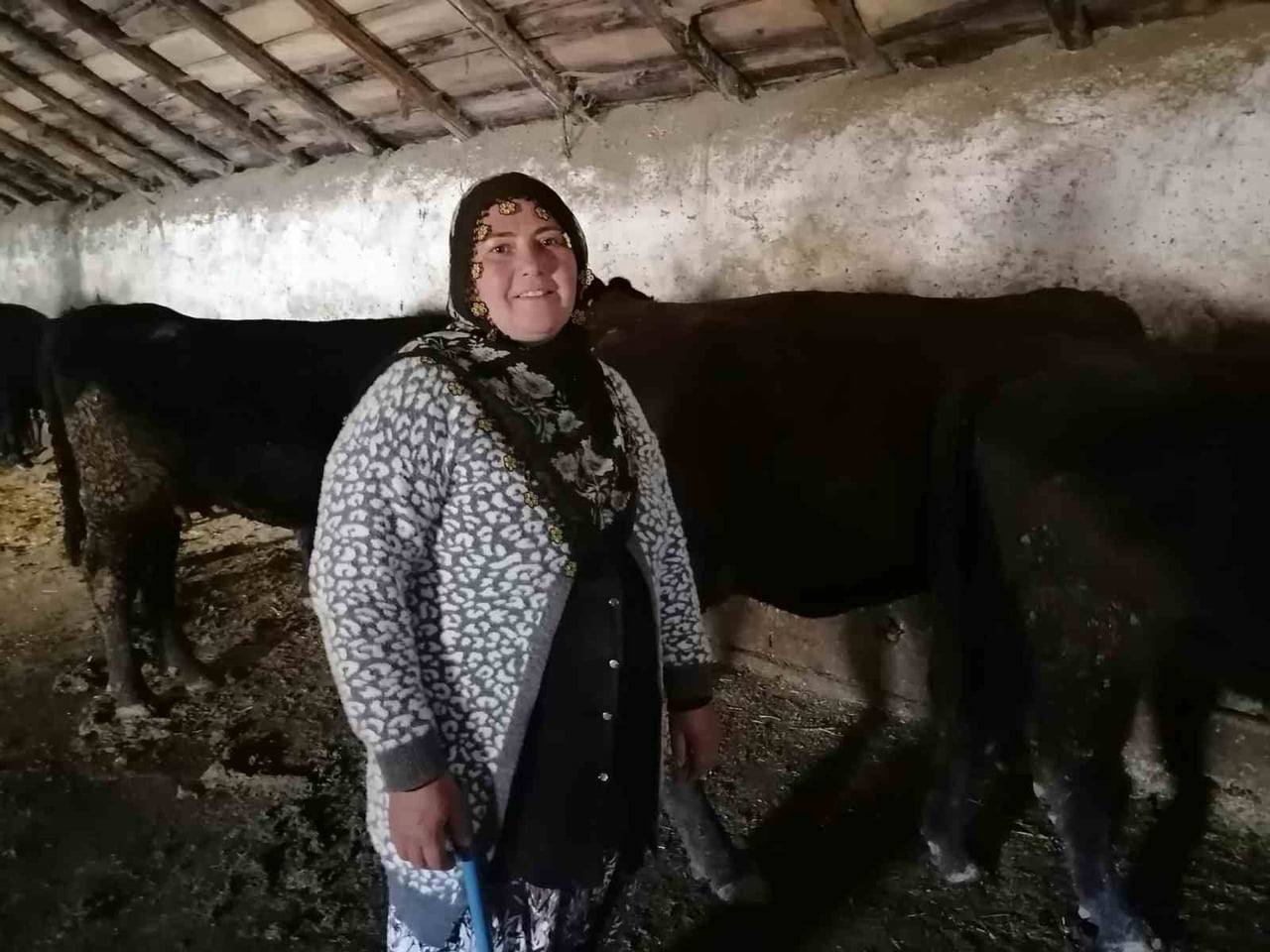 ÜRETİCİ GÜLLİ KARABEY
