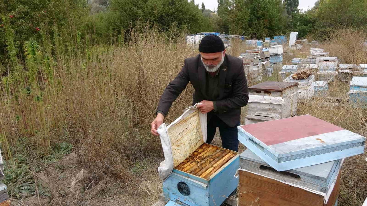 ÜRETİMİN EN DİKKAT ÇEKİCİ AYAĞINI İSE KENEVİR TARLASININ HEMEN YANINA KURULAN ARILIK VE KENEVİR...
