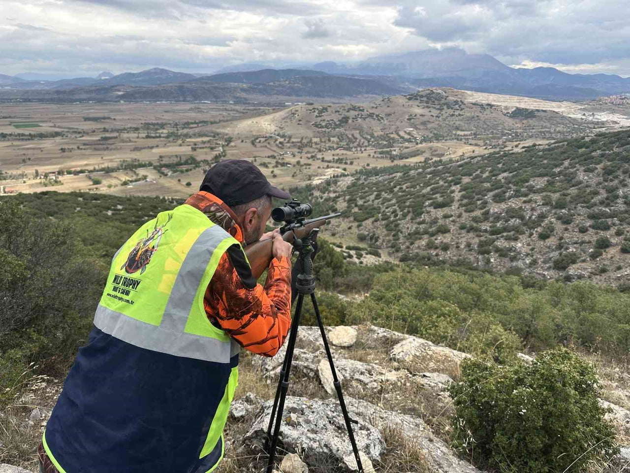 YABAN DOMUZLARI İÇİN AVCILAR, SÜREK AVINA ÇIKTI