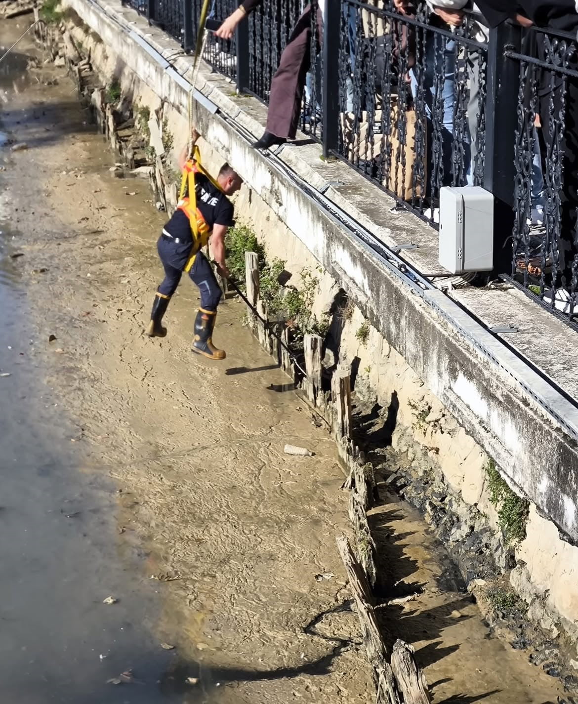 YALOVA’DA DEREYE DÜŞEREK MAHSUR KALAN İKİ KEDİ, İTFAİYE EKİPLERİNİN OPERASYONUYLA...