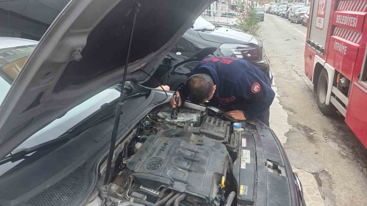 ZONGULDAK'IN KARADENİZ EREĞLİ İLÇESİNDE PARK HALİNDEKİ BİR OTOMOBİLİN MOTOR BÖLÜMÜNE GİREN YAVRU...